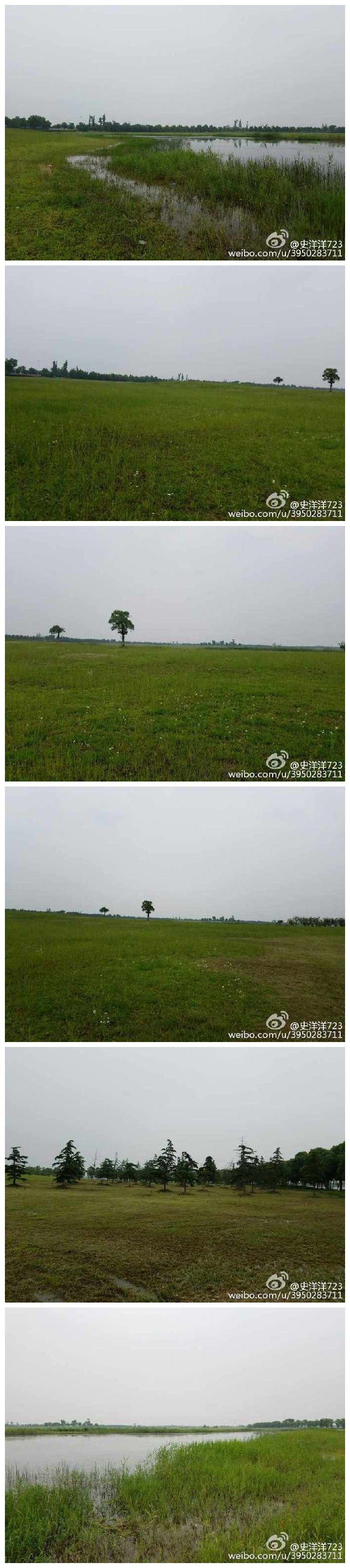 阳澄湖比太湖东美[哈哈]