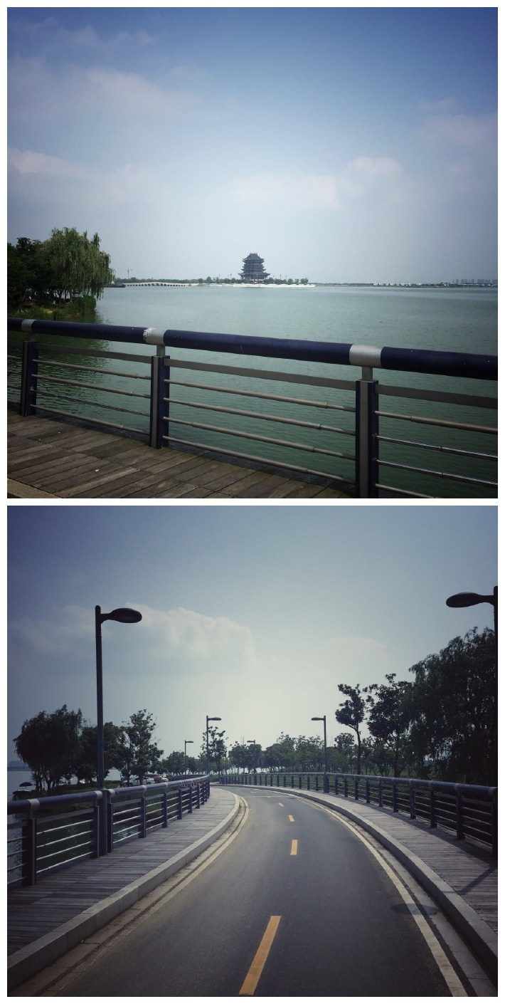 阳澄湖半岛骑行 一路风景都很赞