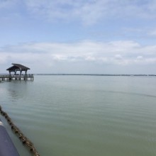一早沿阳澄湖半岛徒步。