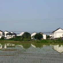 跟朋友骑车环湖。南汇滴水湖，昆山阳澄湖。