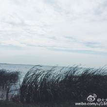 阳澄湖&周庄。夏雨微绵，天朗气清，酒酣耳热，意无所忧。
