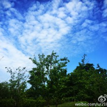 我俩已经很久没有周末一起休息了，趁今儿天好，到阳澄湖边上的云杉湖公园转转，一个字：美！