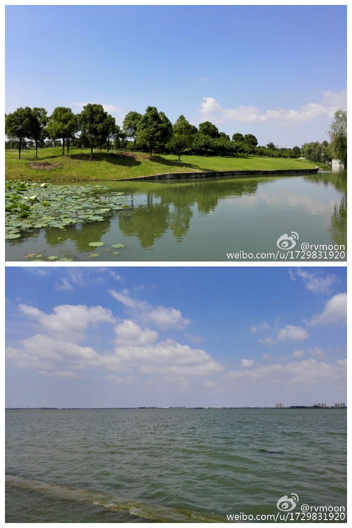 难得浮生半日闲，阳澄湖的角角