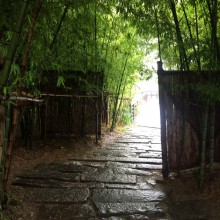 夏雨时清，阳澄湖畔，曲径通幽，悠然戏水的鸭鹅，随风摇曳的芦苇，垂入水中的夹竹桃，伞下闲钓的老人，饱经风雨的草屋，走到竹林深处的我们～