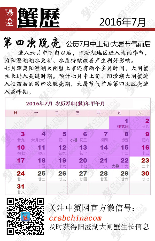 正宗阳澄湖大闸蟹 阳澄湖大闸蟹礼卡 阳澄蟹历 阳澄湖文化