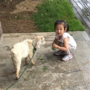 小清新_Chloe