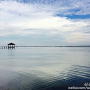 午后雨林