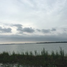 阳澄湖畔一群垂钓者，敬业呀 要下雨了，赶紧拾到拾到回家吧 2苏州·阳澄湖度假村(吴中区)