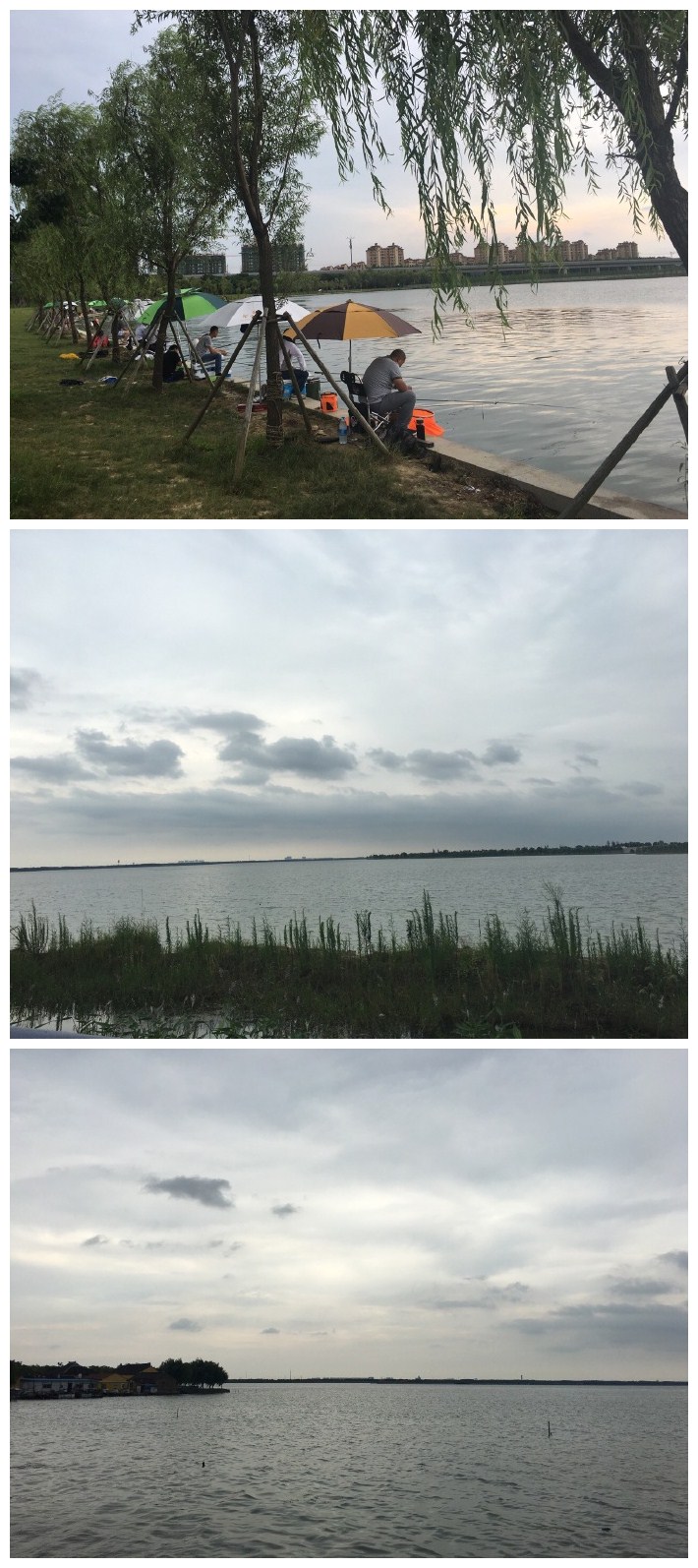阳澄湖畔一群垂钓者，敬业呀 要下雨了，赶紧拾到拾到回家吧 2苏州·阳澄湖度假村(吴中区)