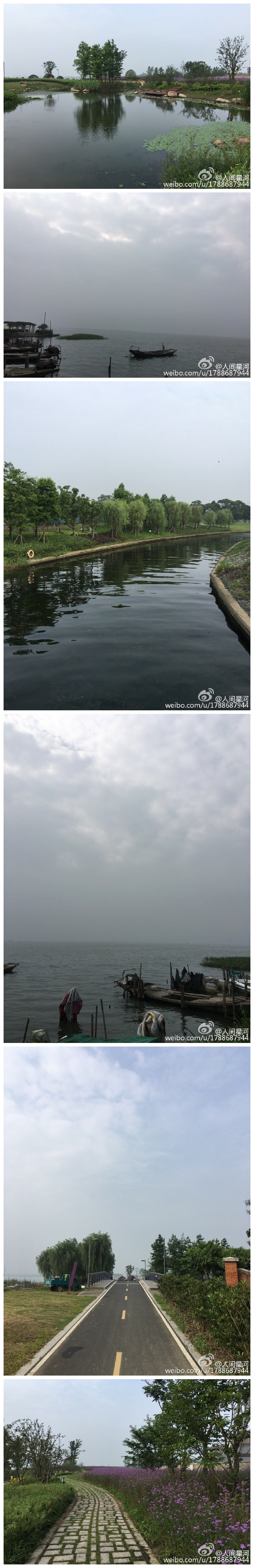 阳澄湖畔，鸟鸣啾啾