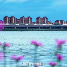 老地方了，也是阳澄湖畔……