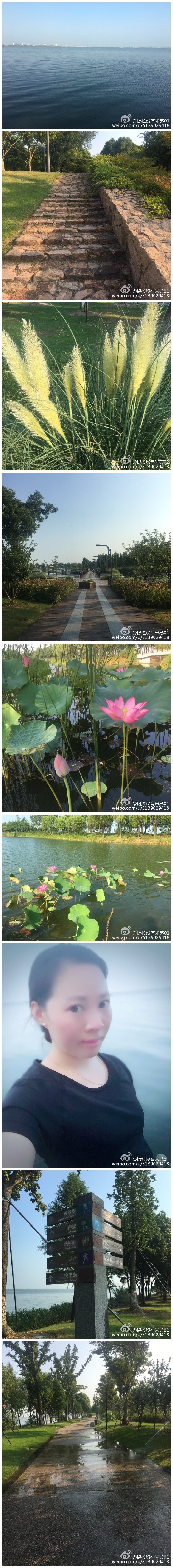 我在阳澄湖畔避高温～～ 这里好安静，静静听流水的声音。 坐在湖边享受着阳光般的温暖。