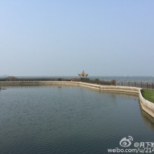 夏日里的阳澄湖[微笑]