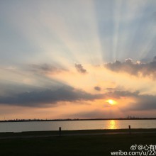 周末的阳澄湖，美的置身事外。