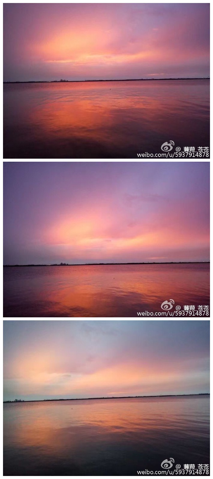 骑车去看夕阳时阳澄湖畔美景！