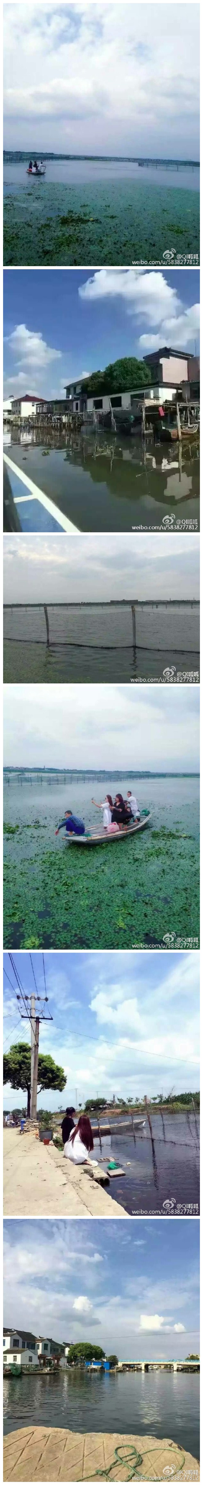 《   阳澄湖大闸蟹》阳澄湖的早晨，不身临其境，你永远无法感知到她的那份宁静与致美[微笑]