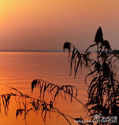 阳澄湖的大闸蟹味美，但阳澄湖的夕阳风光更美。