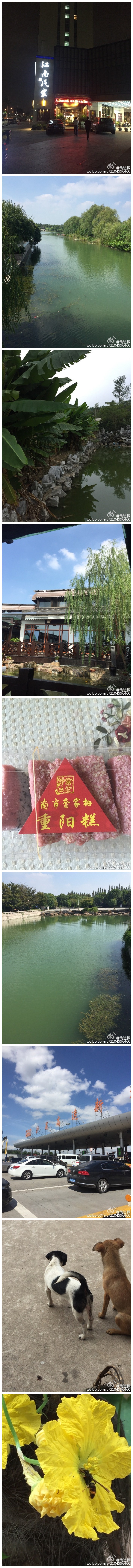 清平乐《杜鹃啼晨》杜鹃啼晨，落叶雨纷纷。寒露过后秋已深，风动始觉身冷。 江静水远烟翠，云重归雁难飞。无感萧瑟悲意，阳澄湖上蟹肥！