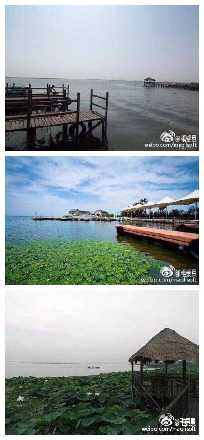 我向往那气势雄伟的长城，赞美那波涛汹涌的黄河，但我更爱那美丽可爱的阳澄湖。。。[good][握手]