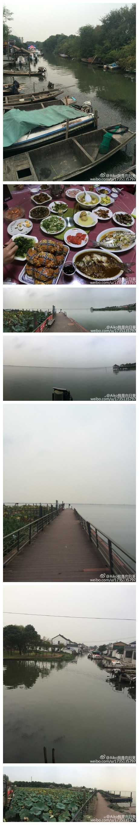 阳澄湖的大闸蟹，确实很好吃呀[太开心][馋嘴]