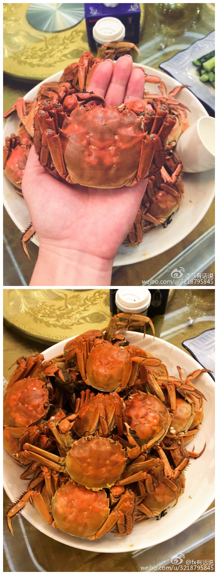 今晚阳澄湖大闸蟹，太TM好吃了，今朝有酒今朝醉！！