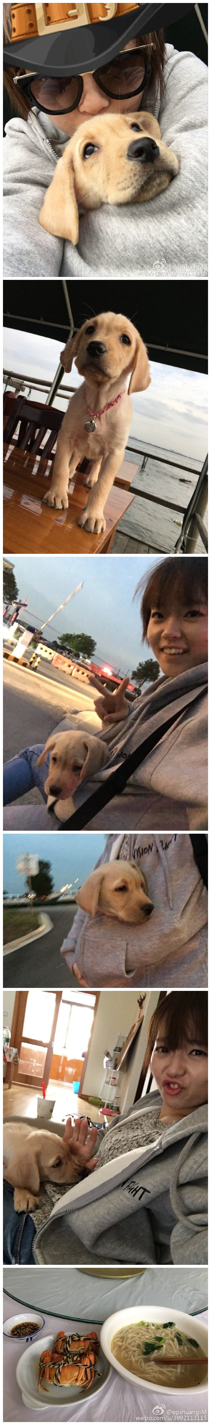 带着Luna 去吃阳澄湖大闸蟹[偷笑][偷笑][偷笑]顺便给它晒晒太阳补补Ca