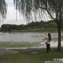阳澄湖半岛，赏花、骑行、看湖……这里有苏州最美的湖滨岸线，全长50公里，全域型，无隔断。一年四季，风光无限。[色][色][色]