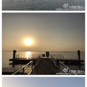 美丽的阳澄湖晨景[太阳][微风]站在湖边，望着平静的湖面，我脑补的画面确是湖里活蹦乱跳的大闸蟹[阴险][阴险]