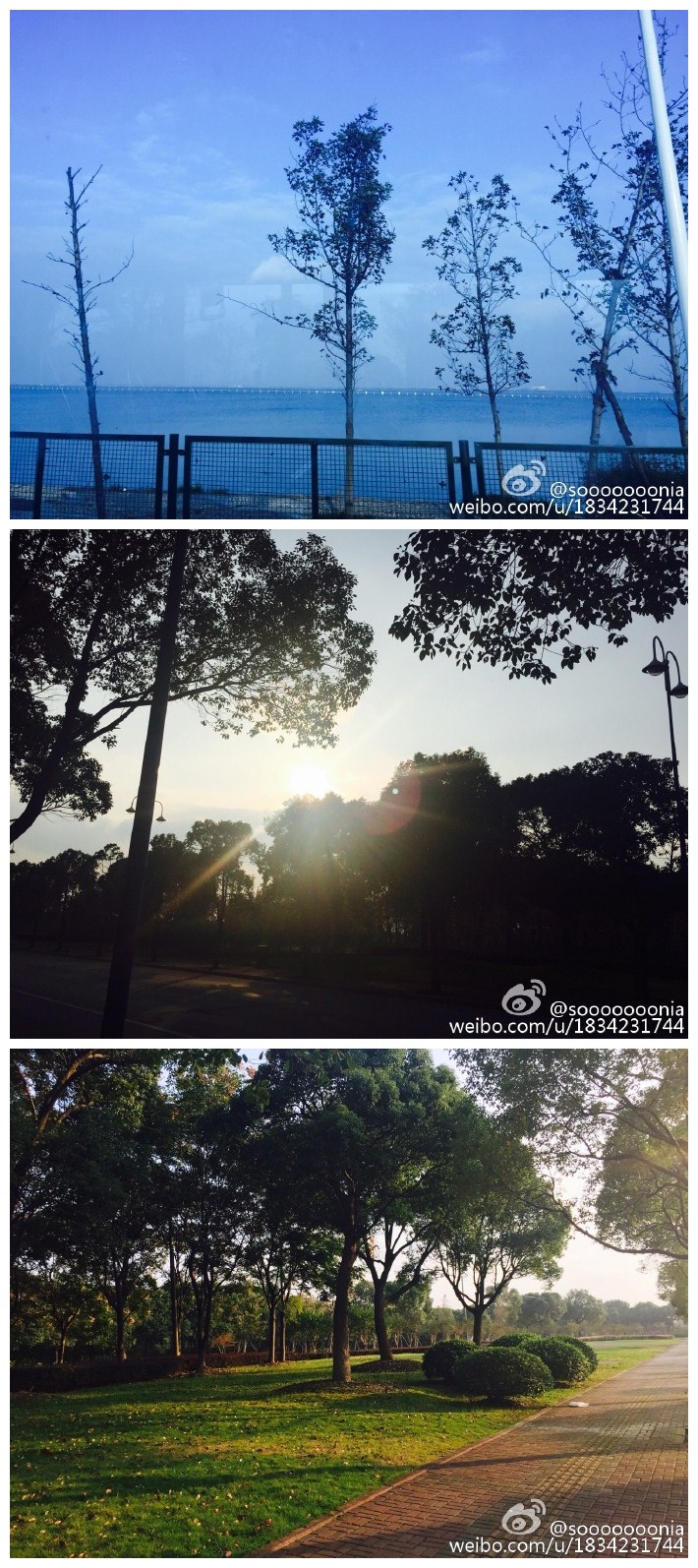 美丽的阳澄湖～～