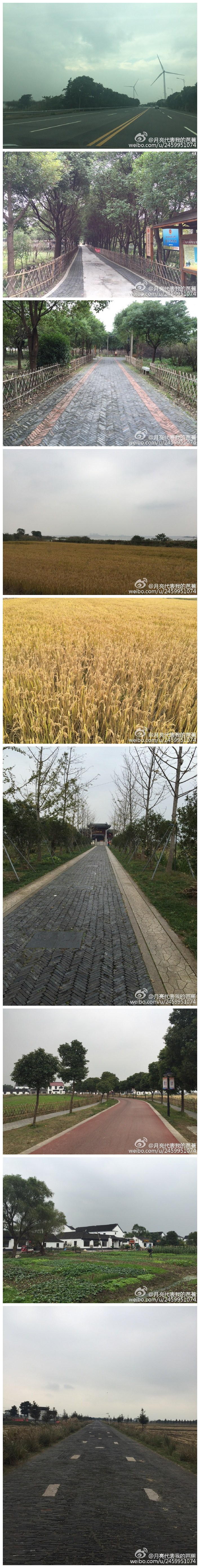 阳澄湖莲花岛