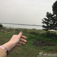 我开车从湖州开到阳澄湖、快夸我快夸我