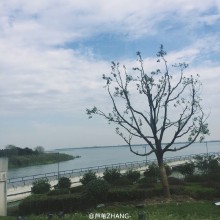 上周的阳澄湖[二哈][二哈][二哈]