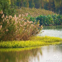 阳澄湖生态体育公园
