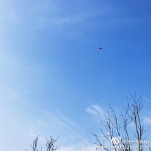 阳澄湖的一天。