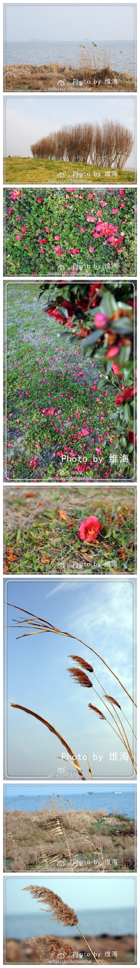 阳澄湖畔，初春。NikonD300+SIGMA24-70mm F2.8 IF EX DG HSM ​