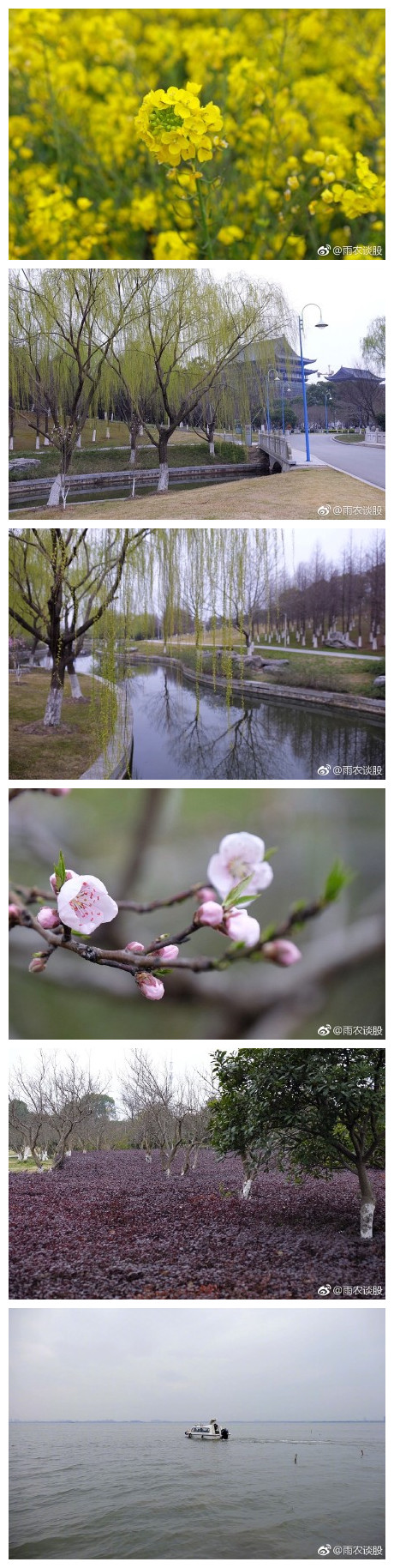 阳澄湖，遗憾没有大闸蟹。[男孩儿][女孩儿] ​