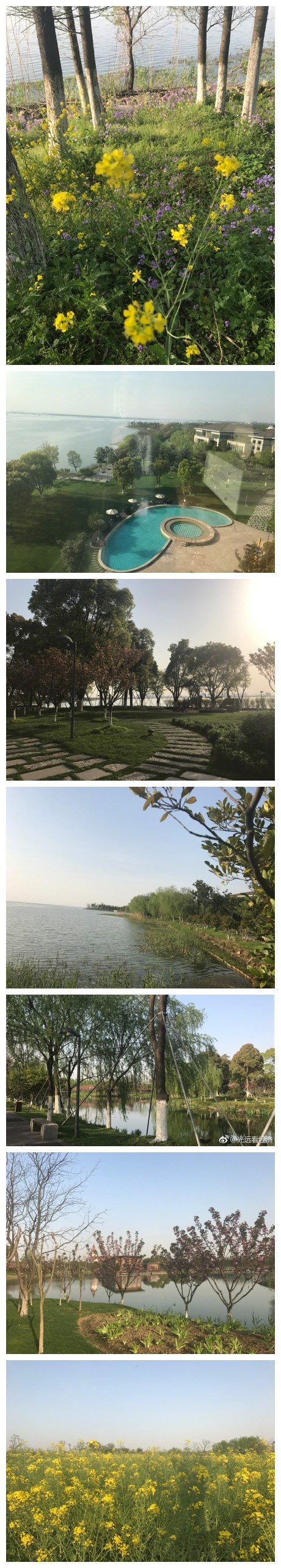 在阳澄湖边，万分思念大闸蟹成熟的季节。 ​
