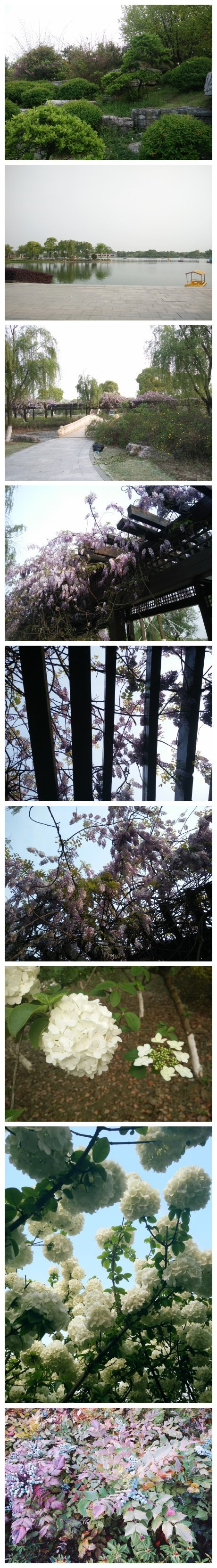 又逛了苏州的阳澄湖，三个湖都好大[带着微博去旅行]