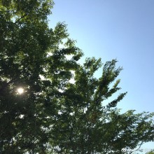 ​阳澄湖边草地坐着，仿佛扑面而来的风都是鲜的 ​