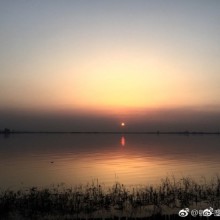 乍暖五月，在阳澄湖畔看“咸蛋黄”慢慢落下，赏美景品美食，别都去丹麦吃生蚝，来阳澄湖吃大闸蟹更爽，享受这段惬意的阳澄湖之旅吧