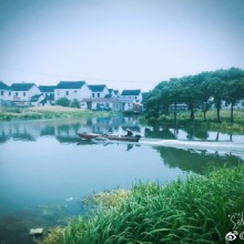 阳澄湖也是处处是景啊，往深处走，山羊悠闲地在路边吃草，村上没有宣传中那么格调，老板疲于应付络绎不绝上门的客人就餐，不过延伸产业例如活动培训以及土特产还挺热闹