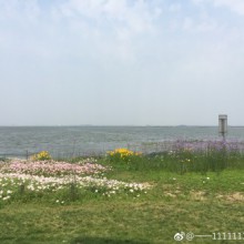 阳澄湖边上玩了半天，发现个吹风的好地方