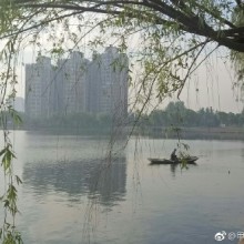 阳澄湖畔,浅水湾处,微风和熙,波澜不惊,人与自然和谐相处。 ​