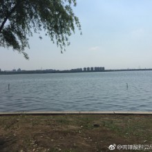 哇，阳澄湖里的鱼很多，就是不好钓 ​