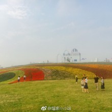 阳澄湖半岛度假区的一日游