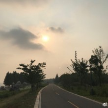 阳澄湖晨跑