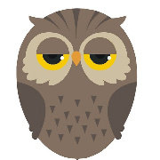 Owlinthesun