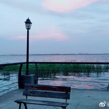 或许你记得阳澄湖畔的刘紫薇吗