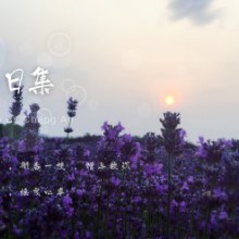 我就单纯地想再发个图。2017年5月31日 苏州 阳澄湖半岛薰衣草庄园