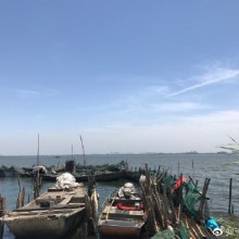 阳澄湖